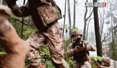 <b>机械狗、无人机出击！新年开训凸显三大特征</b>